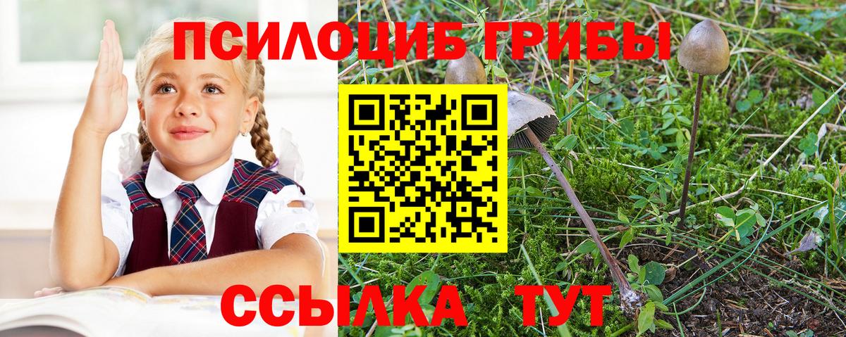 Галлюциногенные грибы GOLDEN TEACHER  Вход с VPN  Канск 